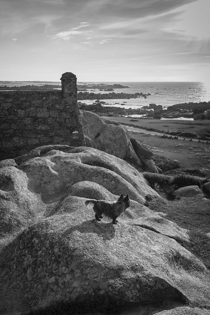 Ménez Ham, finistere, chaos granitique